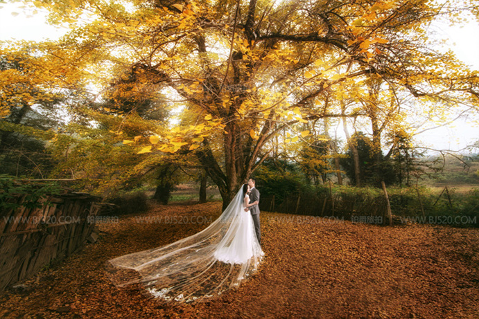 秋季拍摄海景婚纱照的最佳时间