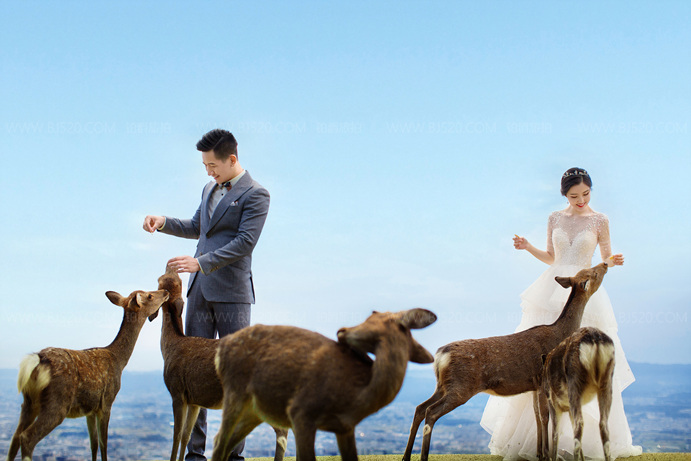 日本北海道婚纱摄影介绍 北海道什么时候去最好？