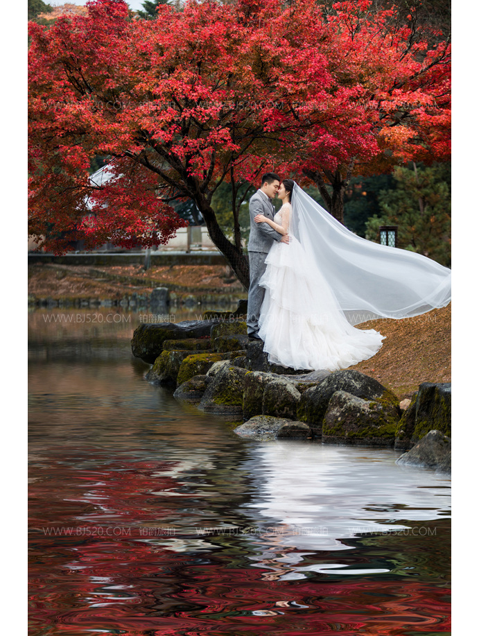 水下婚纱照拍摄注意事项 去日本拍婚纱照需要什么