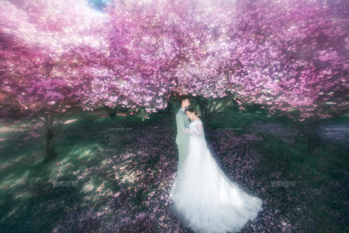 青岛海景婚纱照适合在哪个季节拍