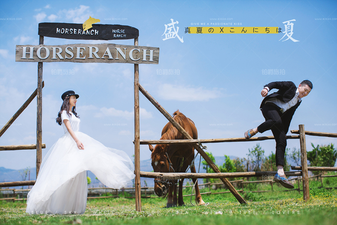 拍婚纱照可以带宠物一起吗 杭州婚纱摄影攻略
