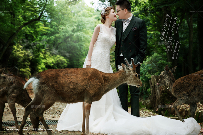怎么拍出仙气十足的森系婚纱照