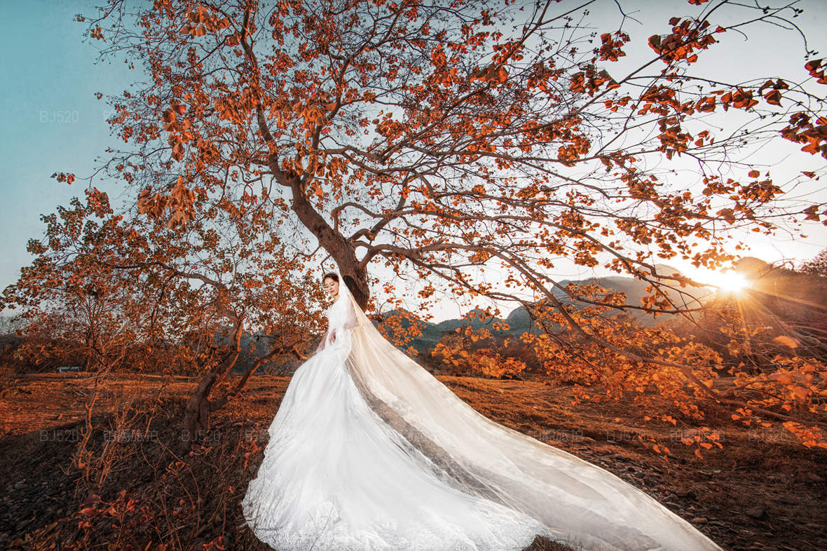 韩式婚纱照新娘发型 受到广大准新娘的喜爱