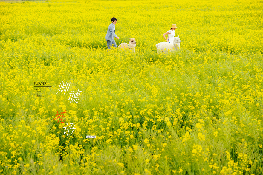 作为旅游大省四川必去的十大景点