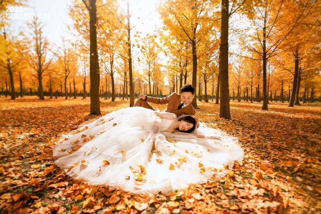 铂爵旅拍北京婚纱照 记录浪漫秋色里的幸福