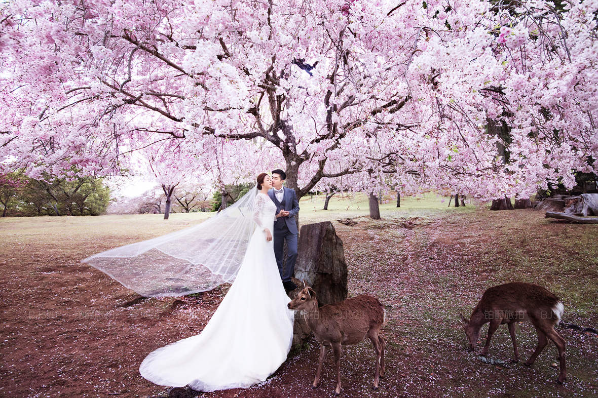 日本婚纱摄影 几月份日本拍婚纱照合适