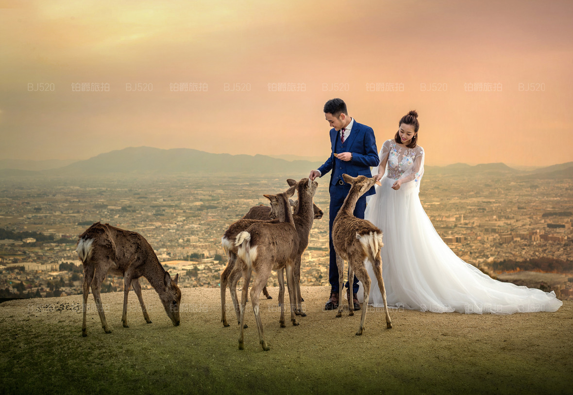 2021日本婚纱摄影攻略之日本最佳旅拍时间是什么时候呢