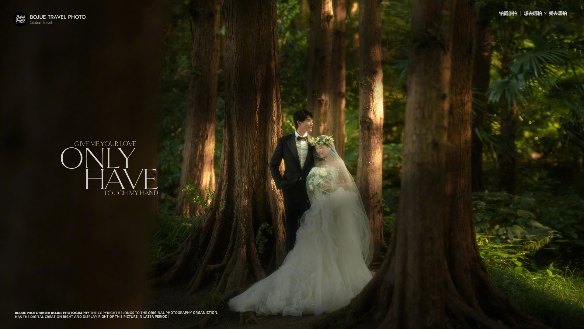 铂爵旅拍婚纱照 在杭州体验拍摄森林氛围感婚纱照的乐趣