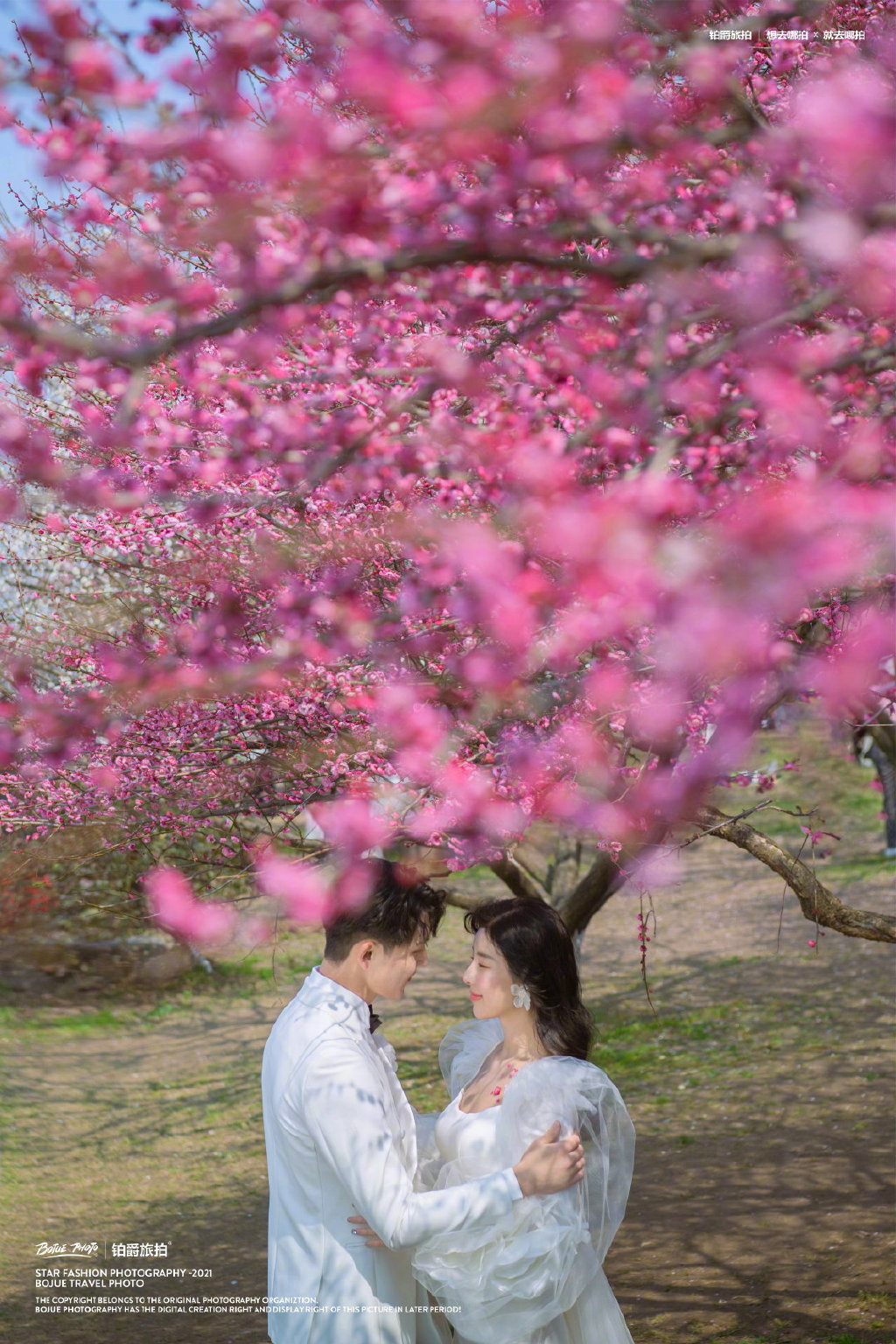 到铂爵旅拍少女梦幻花海,拍一组春日限定浪漫花系婚纱照!