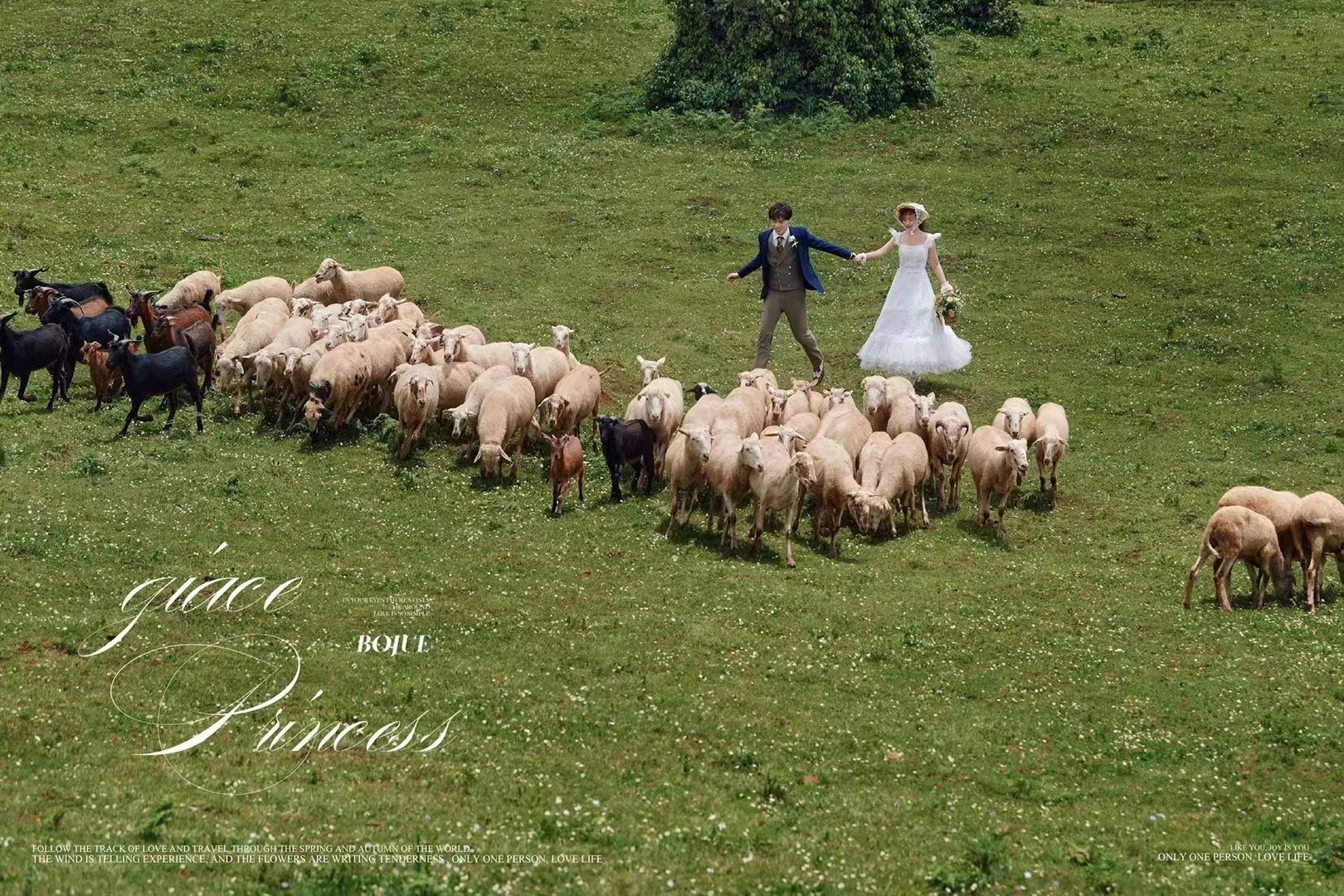 铂爵旅拍大理婚纱摄影 一段不同寻常的婚拍体验
